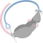 eve sewingstuffs eve sewingstuffs