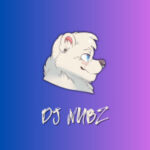 05-DJNubs