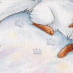 2026 Silent Ravyn 2026 Silent Ravyn